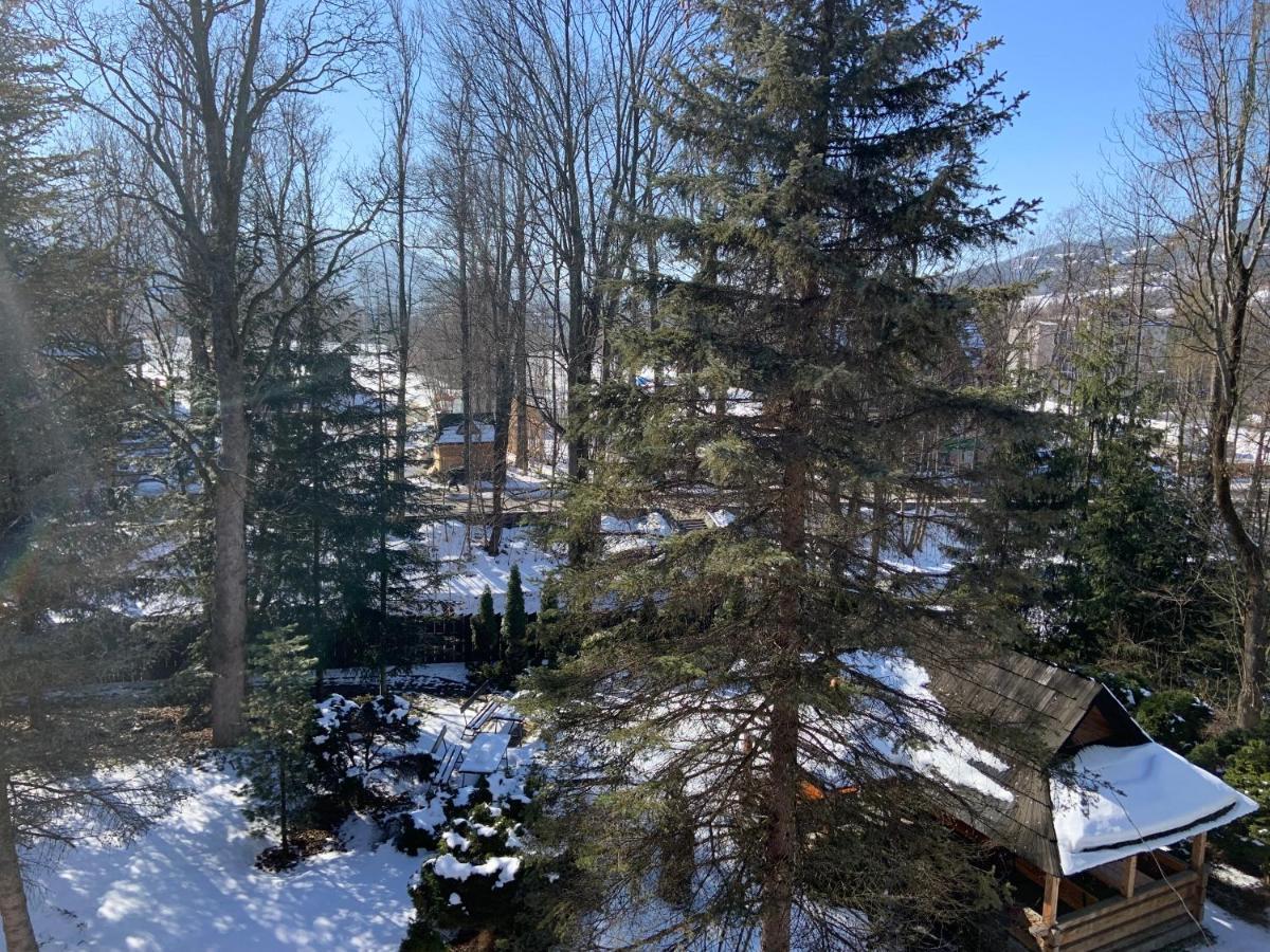 Ow Jaskolka Hotel Закопане Екстериор снимка